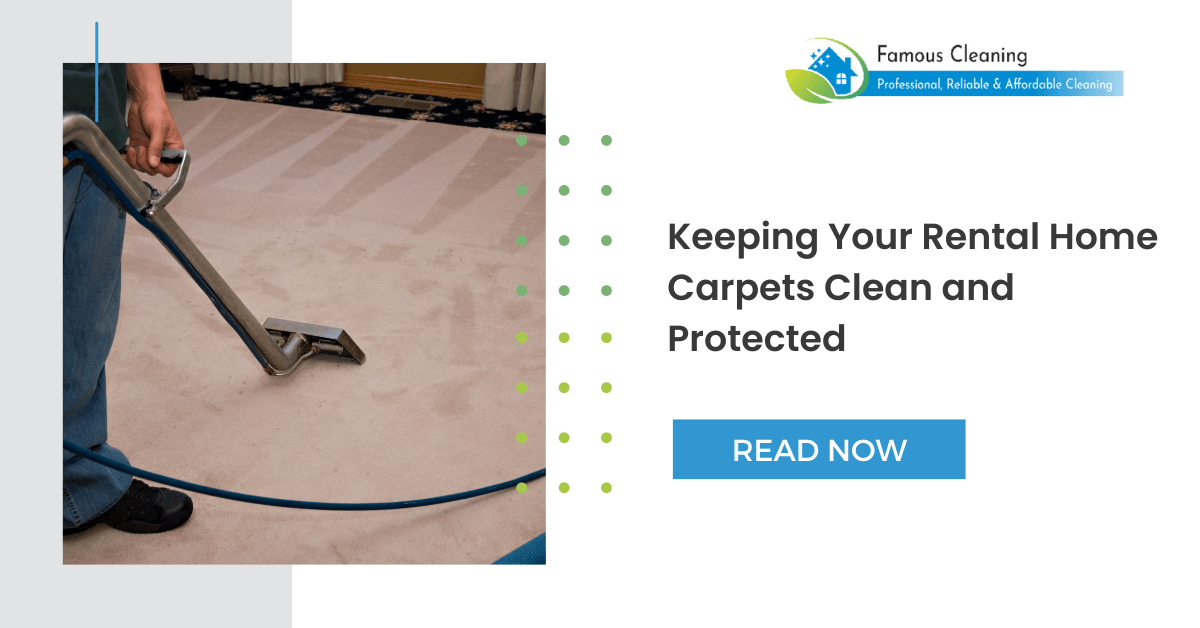 Carpet Cleaning Havant