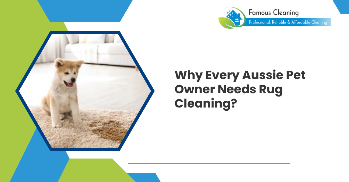 Why Every Aussie Pet Owner Needs Rug Cleaning?